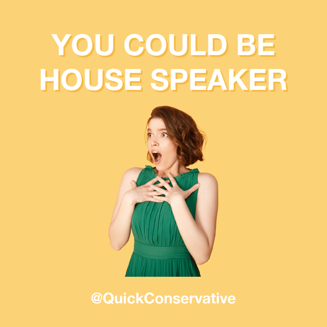 house speaker cover